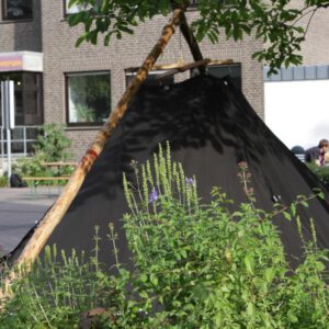 20130630 nt 7dg 6389