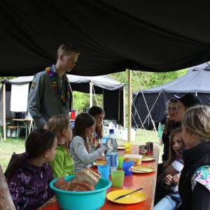 2015 05 23 083156 0693