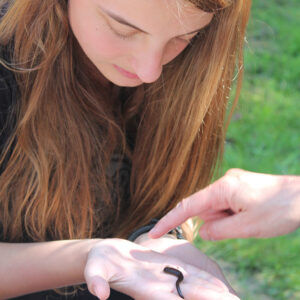 2015 07 21 123647 1677