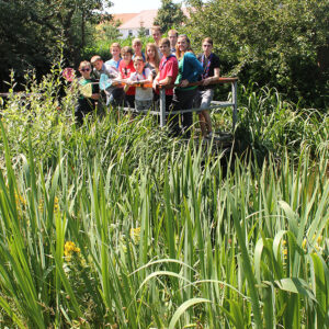 2015 07 21 130040 1709