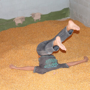 2015 07 21 155256 1859