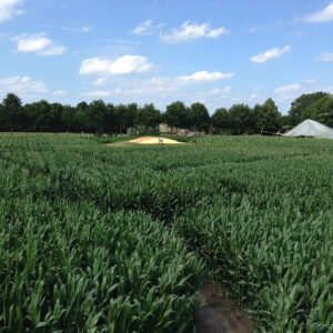 2015 07 21 160548 5777