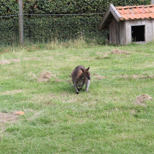 2015 07 21 161645 1894