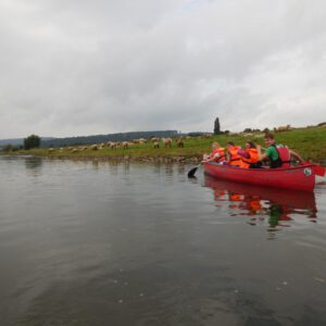 2016 08 11 170905 DSCN2562