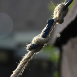 2016 09 03 170047 IMG 8858