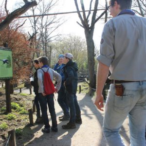 2019 03 30 111327 30