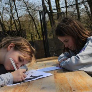 2019 03 30 123023 31