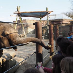 2019 03 30 152448 40.2