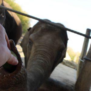 2019 03 30 165339 39